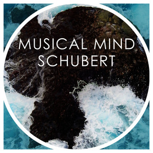 Musical Mind Schubert