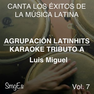 Instrumental Karaoke Series: Luis Miguel, Vol. 7