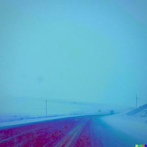 snowbirds (Inst.)