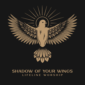 Shadow of Your Wings