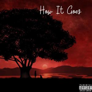 How It Goes (feat. D.A.N & Aaron KAMI) (Explicit)