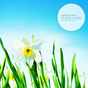 푸른 달빛 아래 (Under Blue Moonlight) (Nature Ver.)