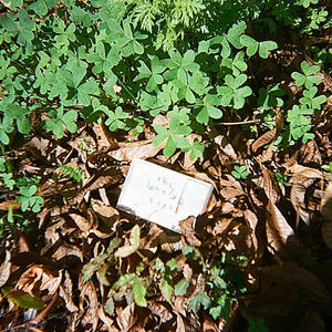 Last Cigarettes (Explicit)