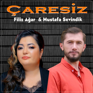 Çaresiz