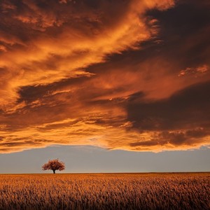 What We Fighting For