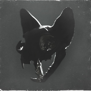 These Nights (Explicit)