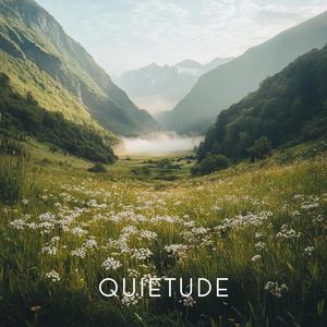 The Open Quietude