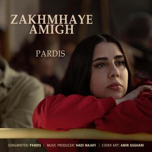 Zakhmaye Amigh