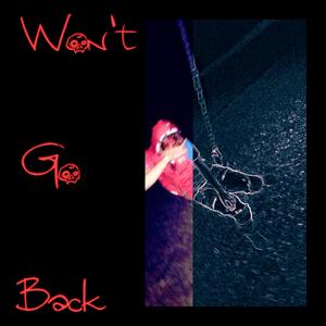 Won't Go Back (Explicit)