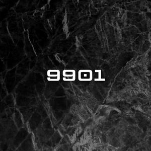 Patient 9901