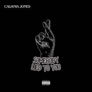 Somebody lied to You (Explicit)