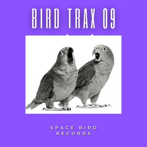 Bird Trax 09