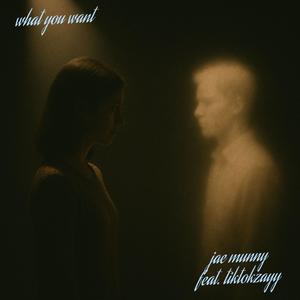 what you want (feat. Tiktokzayy)