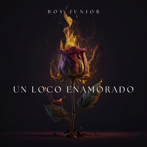 Un Loco Enamorado