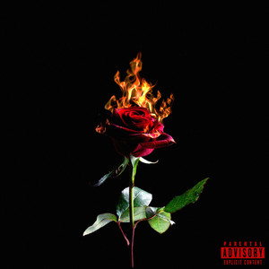 Amor e Drogas (Explicit)