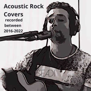 Like a Rolling Stone (Acoustic)