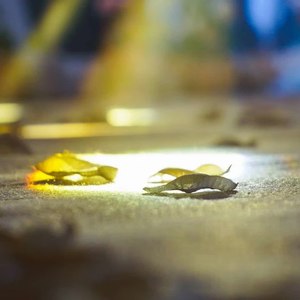 人渐远·心搁浅