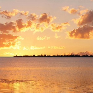 Last Song of the Dream