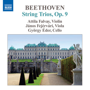 BEETHOVEN, L. van: String Trios (Complete) , Vol. 2 (Falvay, Fejervari, Eder) - Op. 9