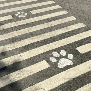 Máy Bay Giấy (feat. Rabby)