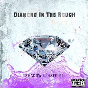 Diamond In The Rough(feat. YSFG BJ) (Explicit)