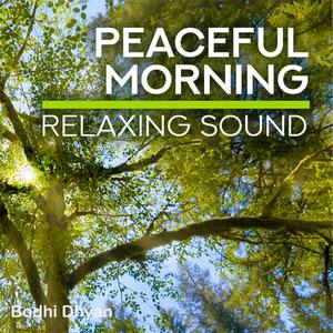 Peaceful Morning Music
