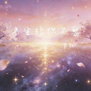来生非你不娶封面