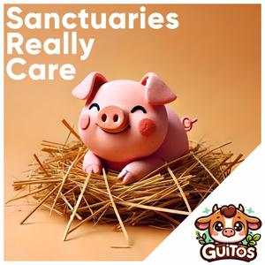 Sanctuaries Really Care