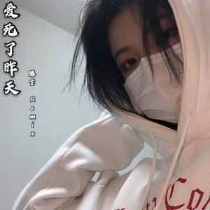 悲喜自渡 (DJ版)