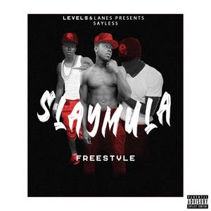 SLAY MULA FREESTYLE (Explicit)