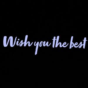 Wish You The Best (Explicit)