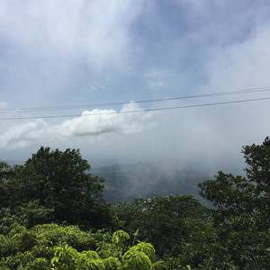 silver coin interlude