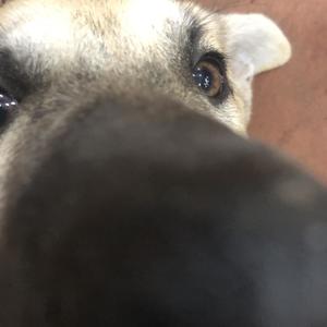 Crush (Speed Up) (Explicit)