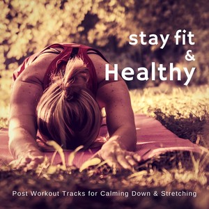 Stay Fit  and amp; Healthy (Post Workout Tracks For Calming Down  and amp; Stretching)