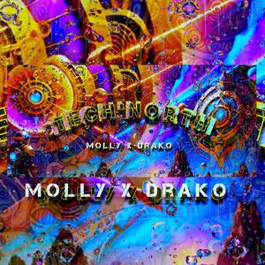 TECH'NORTH (feat. DRAKO) (Explicit)