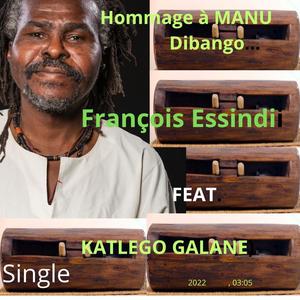 Manu Dibango Remix