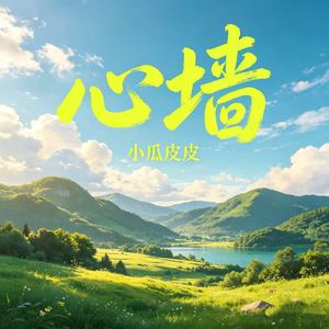 心墙 (女生R&B版)