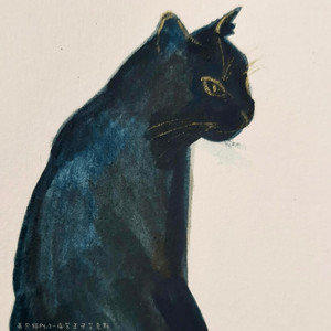 养只猫Pt.2