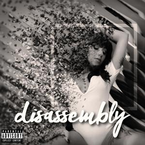 Disassembly (Explicit)