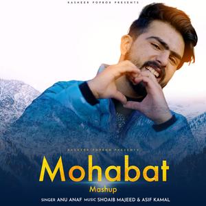 Mohabat Mashup