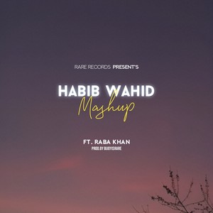 Habib Wahid Mashup