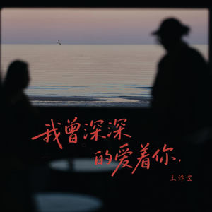 我曾深深的爱着你