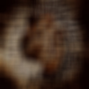 heartfelt (Explicit)