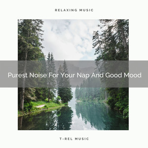 Purest Noise For Your Nap And Hard Relax