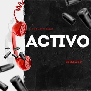 ACTIVO