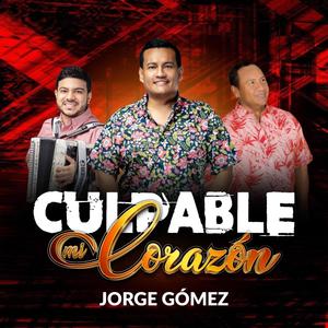 Culpable Mi Corazón