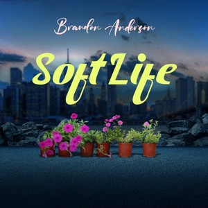 Soft Life