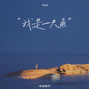 我是一只鱼 (R&B版)