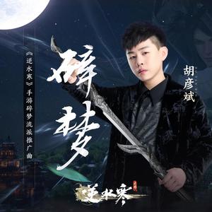 碎梦 - 胡彦斌封面
