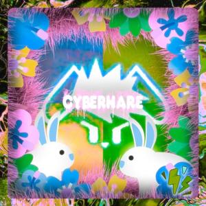 CYBERHARE